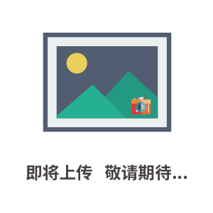 萊寶真空規(guī)管TTR91、TTR91S、真空表、PTR225等真空儀器